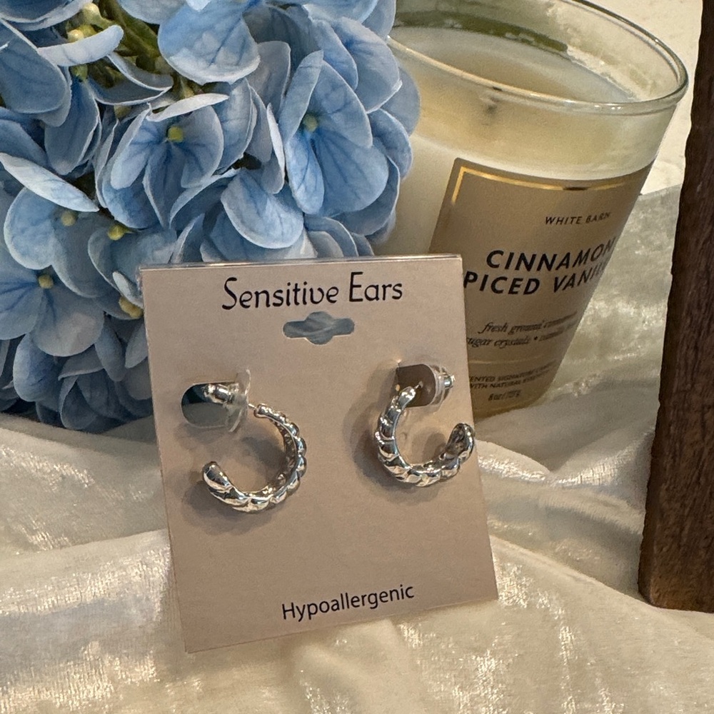 Silver Hypoallergenic Hoop Earrings